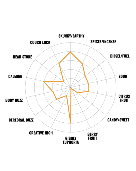 cali-kush-feminizada-420mx-semillas-420mx-3 Cali Kush Seeds 420mx