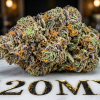 genetica-kushberry-moonrocks-coleccionable-420mx-2-1.png Genética Kushberry Moonrocks Coleccionable